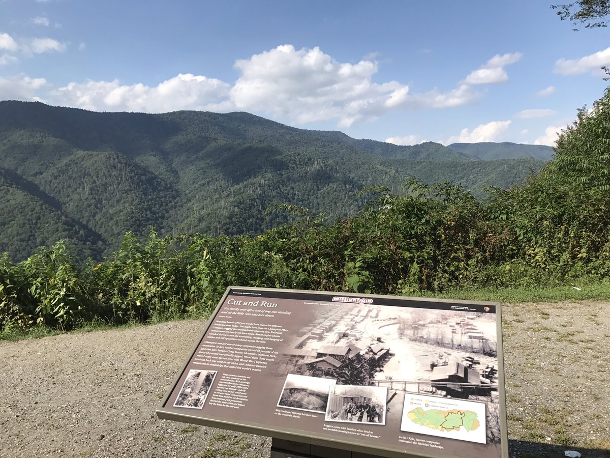 Juryfacts's tweet photo. @JustinRYoung @shwood @amtrekker @MissionPic In the middle of the Smokies! #MakeAmericaStickerAgain https://t.co/O41orJywtd