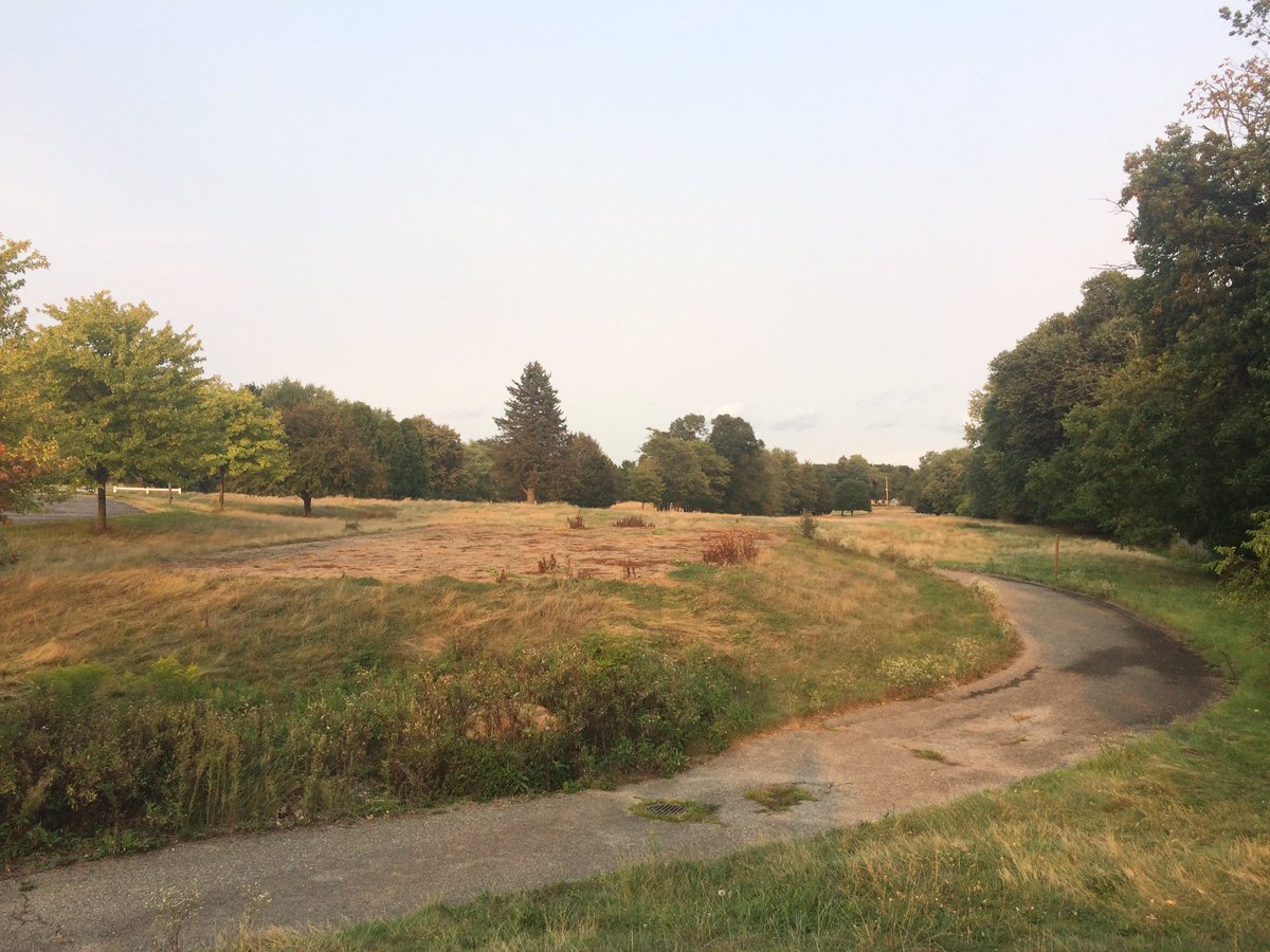 MikeLSaunders's tweet image. #PhotoMonitorLCWM