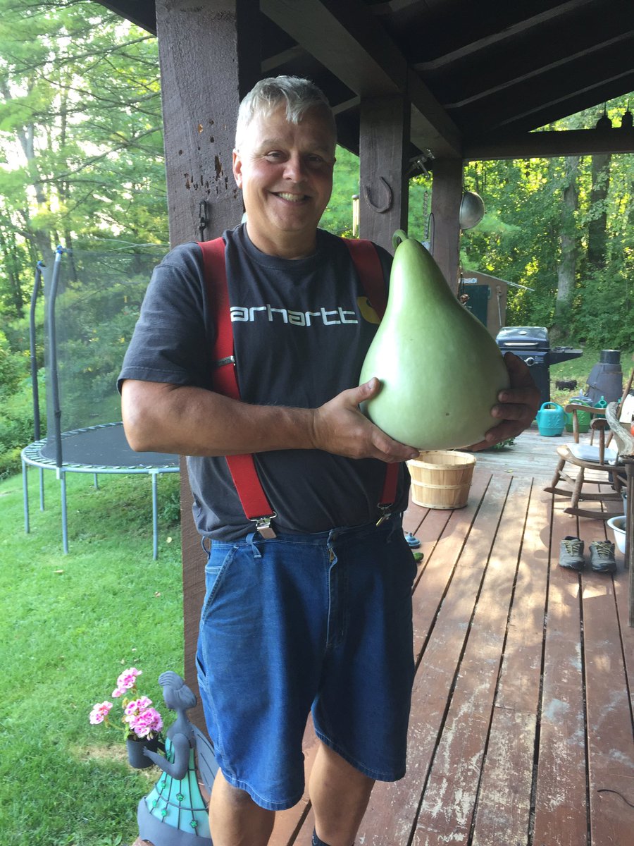 HeidisNotes's tweet photo. My husband was soooo excited after plucking this giant pear off our tree today. #gourds https://t.co/TGiDZ7UXzC