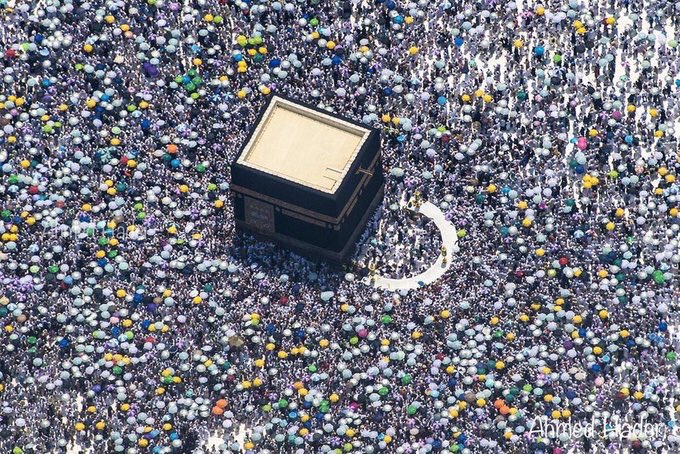 Artfn7's tweet image. منبعُ الأزهار في أطهر بُقعه 🖤