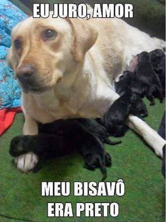 matheus #timbeta.sdv (@carlosmateusal1) on Twitter photo 