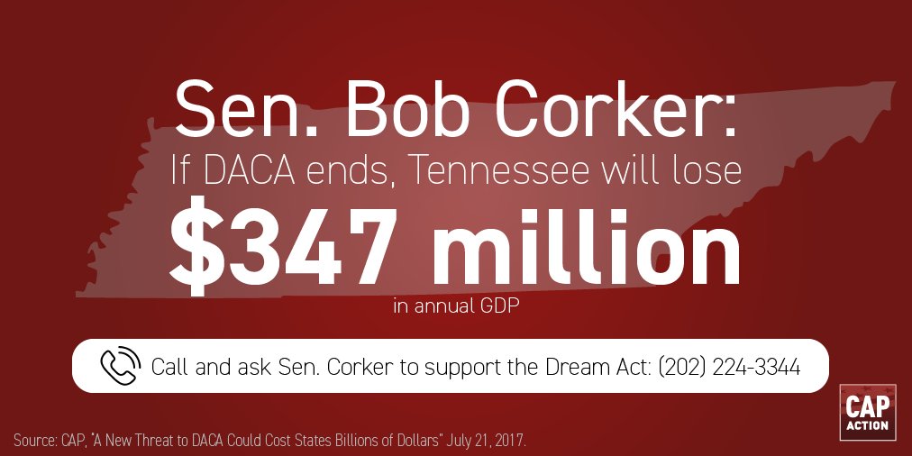 lisagaddy's tweet photo. #DACA repeal = 8,119 TN DREAMers subject to deportation. @SenBobCorker, Reject nativism. Support #DreamAct https://t.co/E1wgwaz7kJ