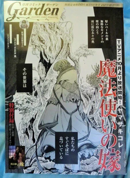 今日発売のコミックガーデンに「鉄刻の清掃員さん」一話載ってます。
清掃員さんが戦うお話しです。
宜しくお願いしますー 