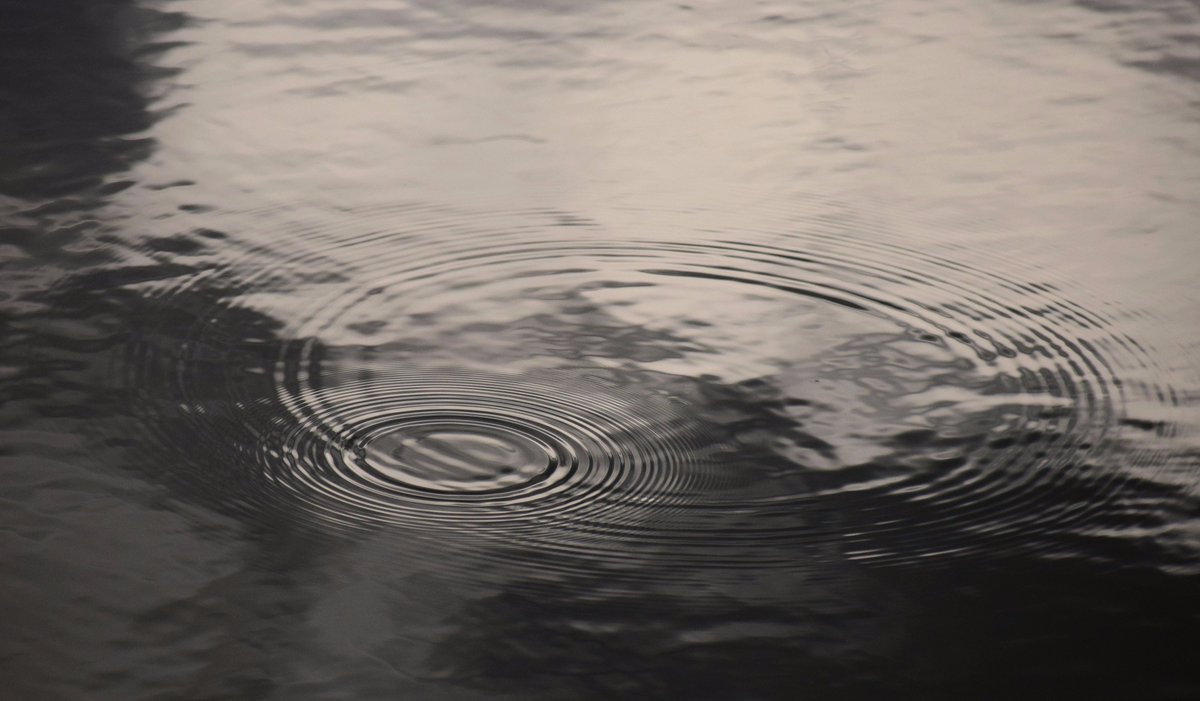 Pudgy Viking (@ben_on_the_moon) on Twitter photo 