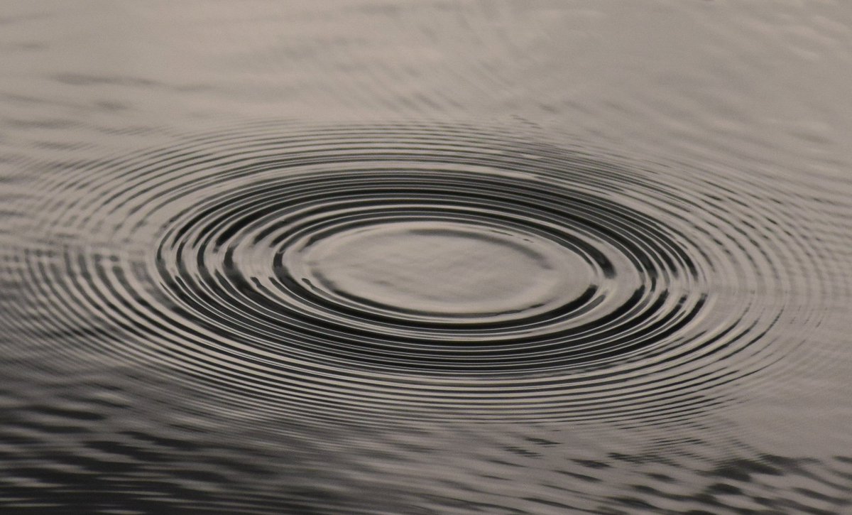 Pudgy Viking (@ben_on_the_moon) on Twitter photo 