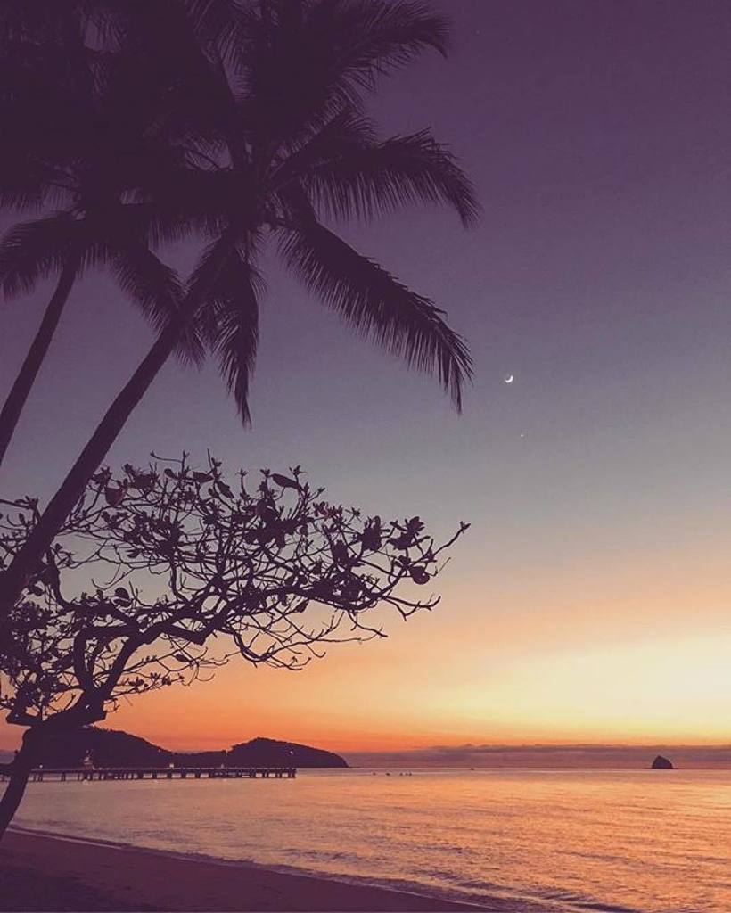 DUTTOURS's tweet photo. CairnsGBR: Morning glow over #DoubleIsland in visitpalmcove 🌅🌴 Photo by legypsy #exploreTNQ https://t.co/nqVcNMADRo
