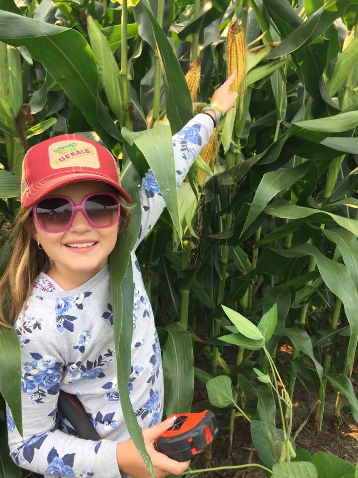 Demeter233's tweet photo. Special helper today! #minime #yieldestimates #LaborDay2017 https://t.co/1IUjQPymqF