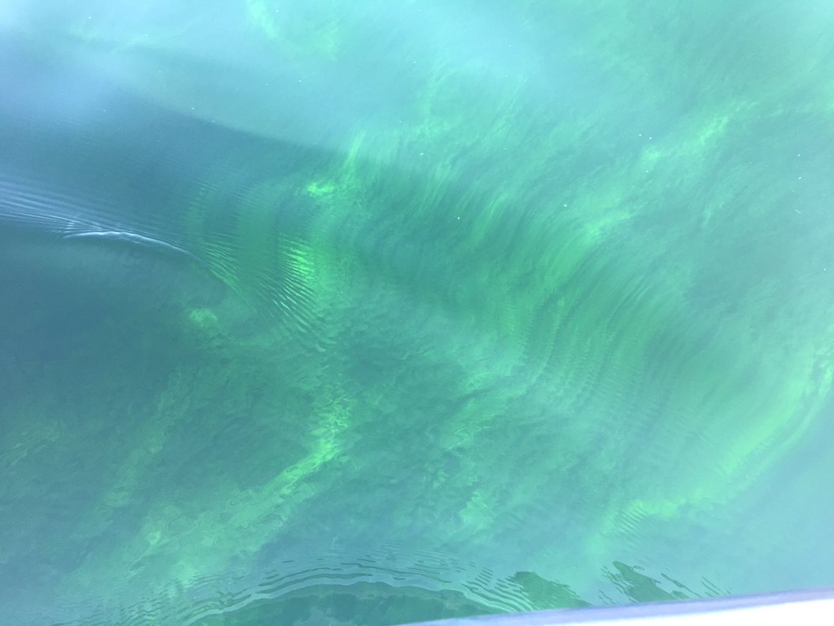 kmhensley's tweet photo. Yay for a beach day! Gotta love going out on the boat w/ family &amp; spending the day in beauty!❤️🙌🏾😁 #beachlife #laborday #beingafish #water❤️ https://t.co/Udy1557Fjm
