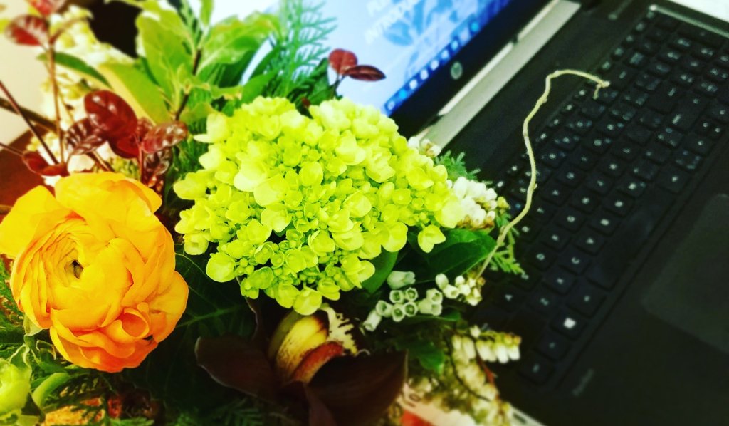 FunkyPetalsLeth's tweet photo. Flowers: Well-Being &amp; Productivity https://t.co/LmuMrYMLN8 https://t.co/s52MPJ4mBx