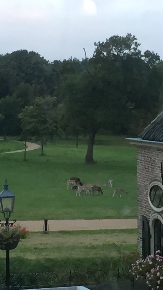 De_Keerkring's tweet photo. Goedemorgen, met dit uitzicht worden wij wakker in Domburg #kamp groep 7/8 https://t.co/xNbKqA9w2S