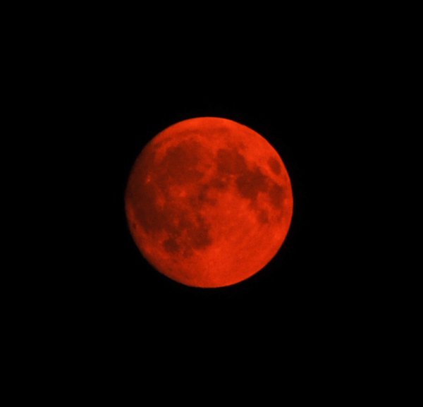 kzerker_or's tweet photo. Tonight was the first time I've ever ran a photo through @instagram where it didn't even bother to ask me for a filter. #ObviouslyNoFilter https://t.co/Tyiej3dvwJ