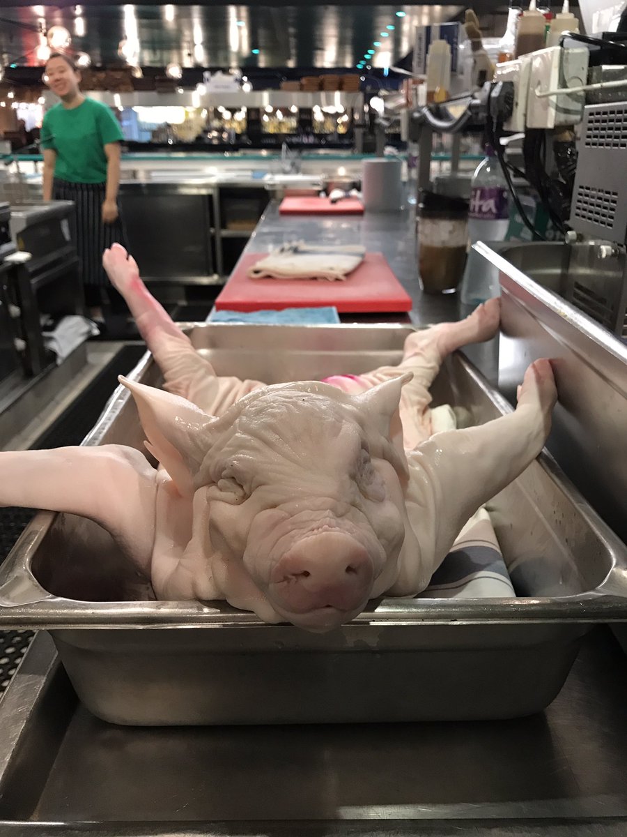 ChefAndyRees's tweet photo. Suckling pig for staff dinner #sucklingpig#chefslife https://t.co/g3p2Gl1nd3
