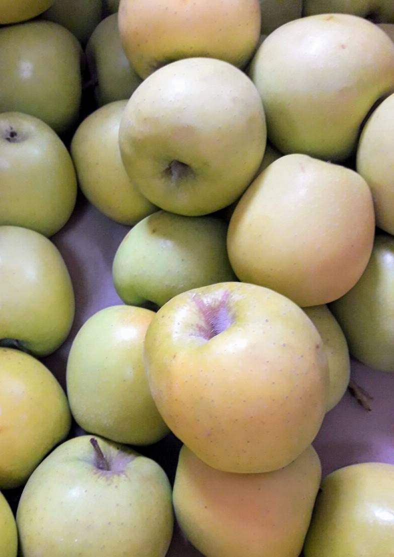 ShiitakeStCugat's tweet photo. Es temps de #pomes! 🍎🍏 Quina preferiu? Golden o Granny Smith? Les tenim totes dues a #ShiitakeSantCugat #fruitadeltemps #ecològic #SantCugat https://t.co/MKbNJeHGTj
