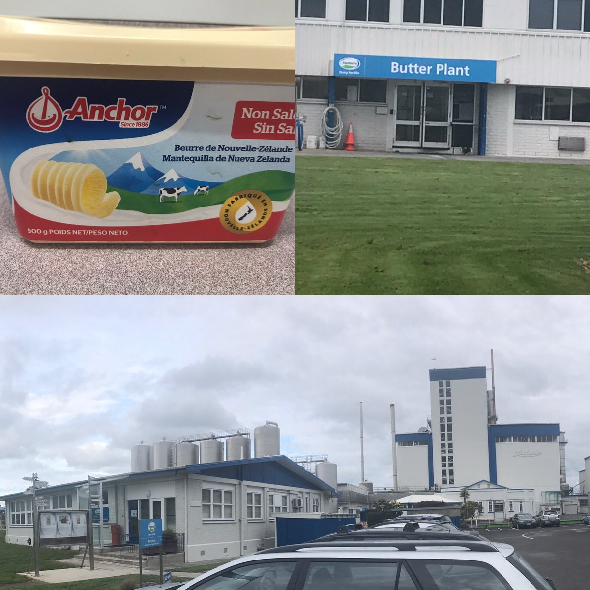 farmerjoNZ's tweet photo. Back @ the home of @AnchorGOSTRONG and Mainland Butter this afternoon 😍 @Fonterra Morrinsville #bestsmallsitewinner #madeinpiako #dairy4life https://t.co/7y0SMWZ7r5