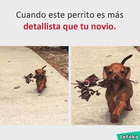 HugoOkey's tweet image. ju