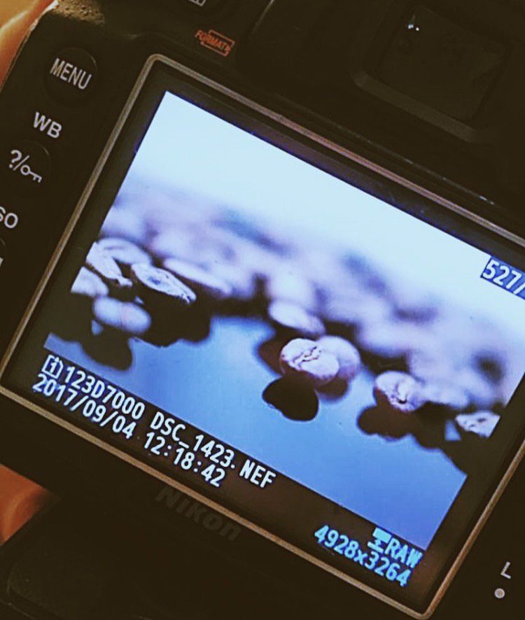hammerandkettle's tweet photo. We drank coffee, we broke cups, and we took lots of photos. More from our photo shoot with Joe Morgan soon! 🎥 https://t.co/WoxOKios47