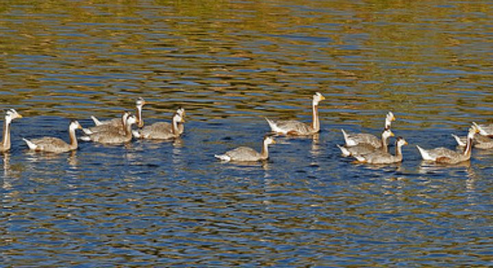 Гэгээн өглөөний мэнд! АМЖИЛТ!