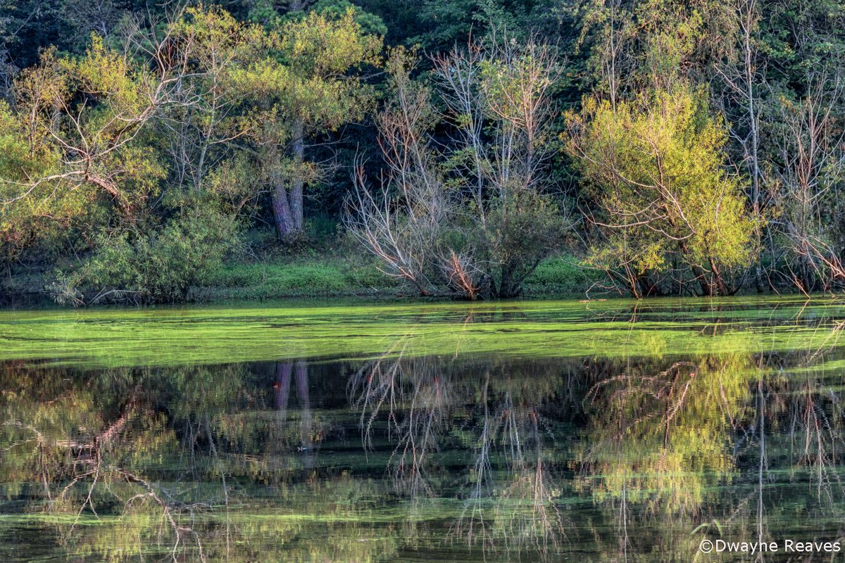 dwaynereaves's tweet photo. A really calm evening in North Carolina! @StormHour #ThePhotoHour #ncwx https://t.co/6O2vIWZKJ4