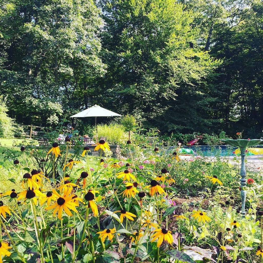 mpfish's tweet photo. 🌼🌿🌾 https://t.co/t99PNn7aPv https://t.co/WZZCB11fpM