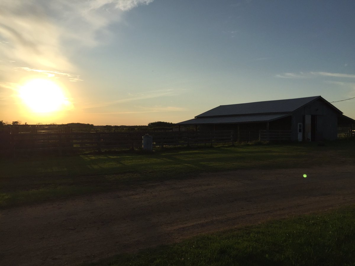KevinRempel1's tweet photo. Always nice to go help my brother out on his ranch for the weekend! #parkland https://t.co/vrOq4b1JqK