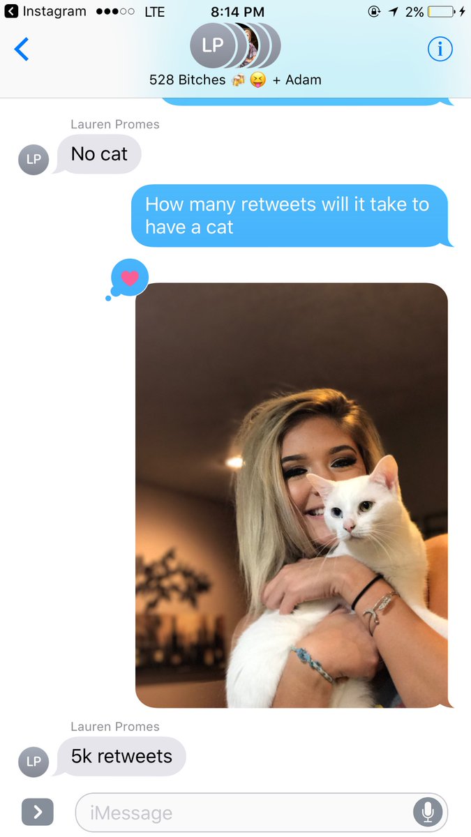 daytonawehr's tweet photo. I have one week to get 5k retweets to get a cat for our apt. Please make my life better. 😿😿😿 deadline is sept 11 https://t.co/Toj6nvqVve