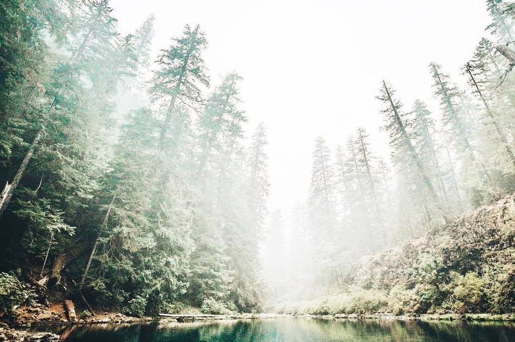 leanneblack_'s tweet photo. Paradise -
-
-
#getout #optoutside #livefolk #liveauthentic #createexplore #exploremore #vsco #vscocam #pnw #pnwon… https://t.co/taWNsfSBRb https://t.co/gtZ50VwGpZ