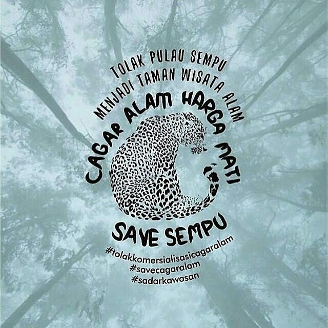 eckahardy1987's tweet image. Mohon maaf sempu bukan taman wisata.. sempu itu cagar alam #SaveSempu