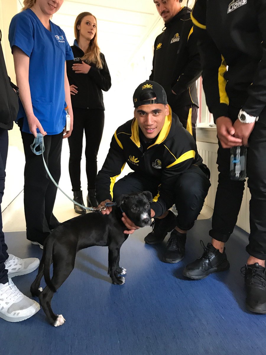 Thanks for having us <a href="/SPCAWgtn/">Wellington SPCA</a> Levi Harmon showing some love #🦁🦁meet🐶🐶