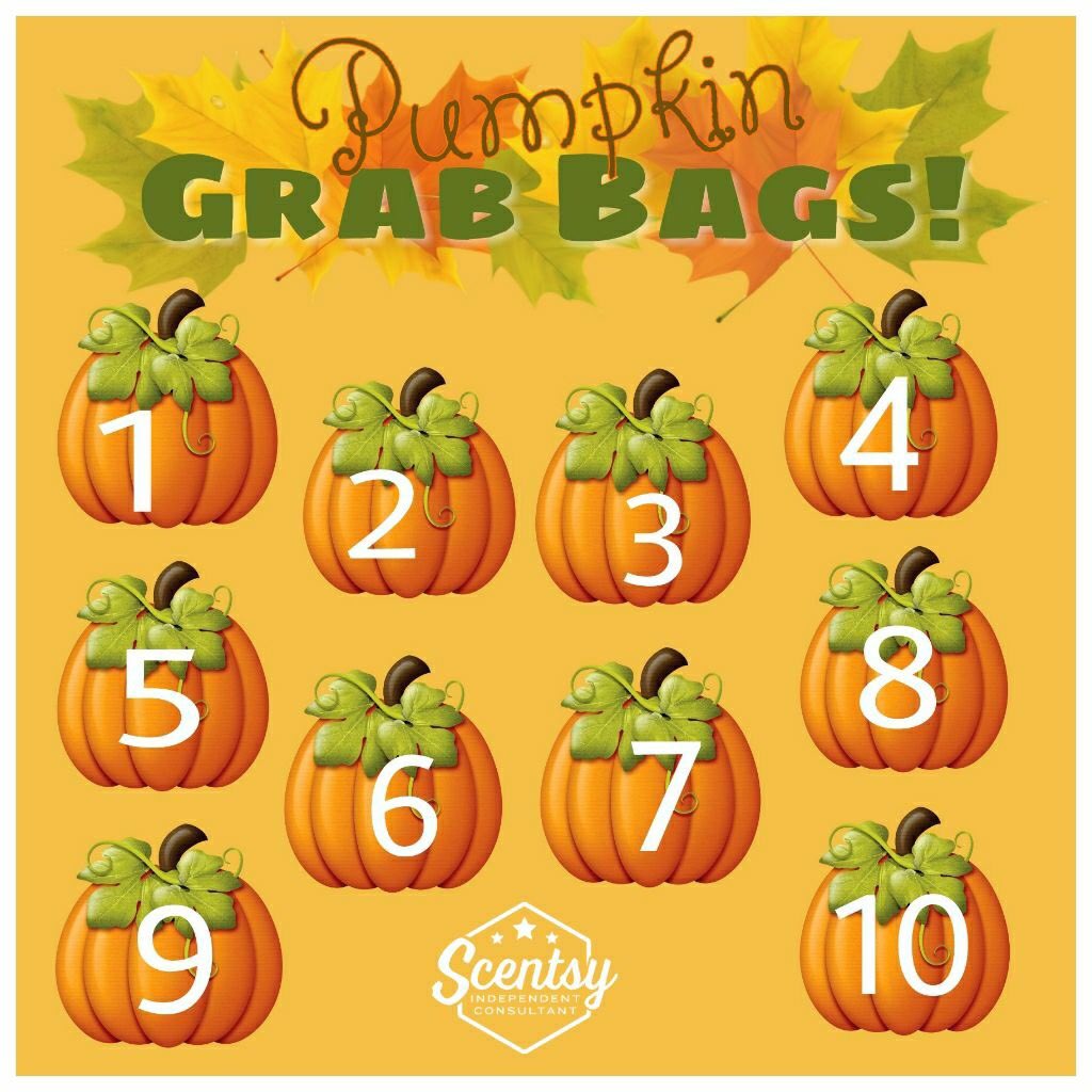 Susan Olmsted tweet media