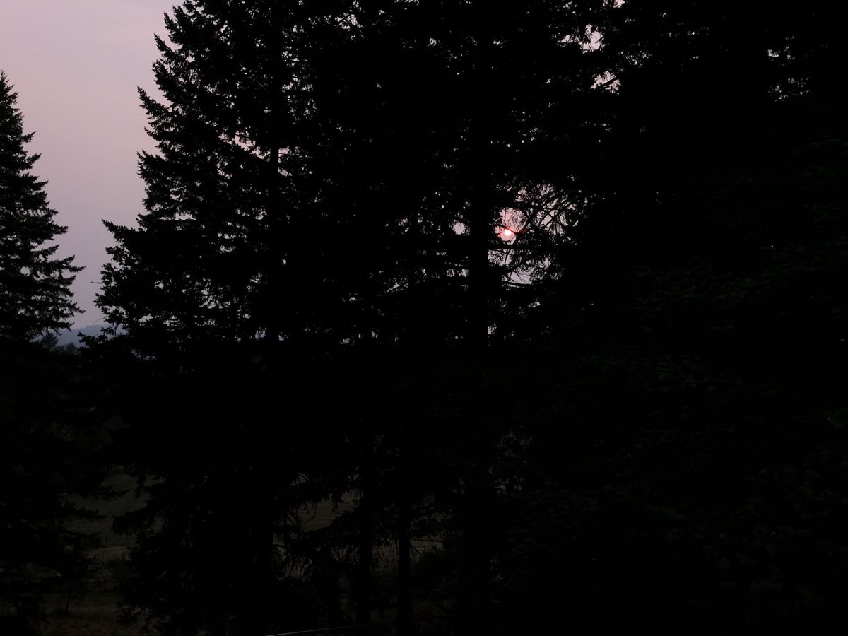 beettlle's tweet image. The eye of Sauron is ever watching. #forrestFire