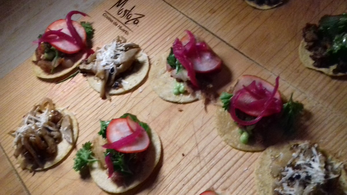 ℙ𝕒𝕥𝕒 𝕕𝕖 𝔾𝕒𝕥𝕠 𝕋𝕍® Studio tweet media