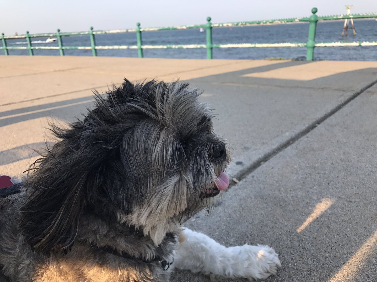 RileyClancy's tweet photo. Sea breeze. ❤️ https://t.co/8Nnb5rlg8V