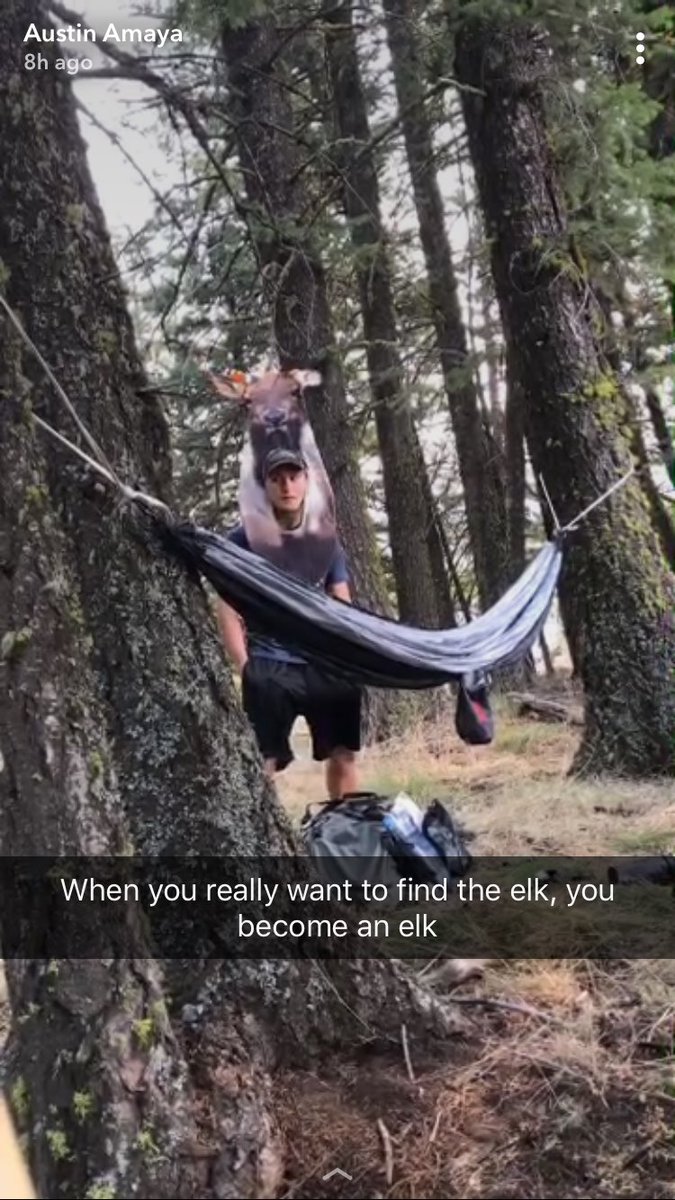 Bowhunter_27's tweet photo. You must become one with the elk -Mitchel Sandburg #thingsaregettingcrazy! https://t.co/zYzudhaIxf