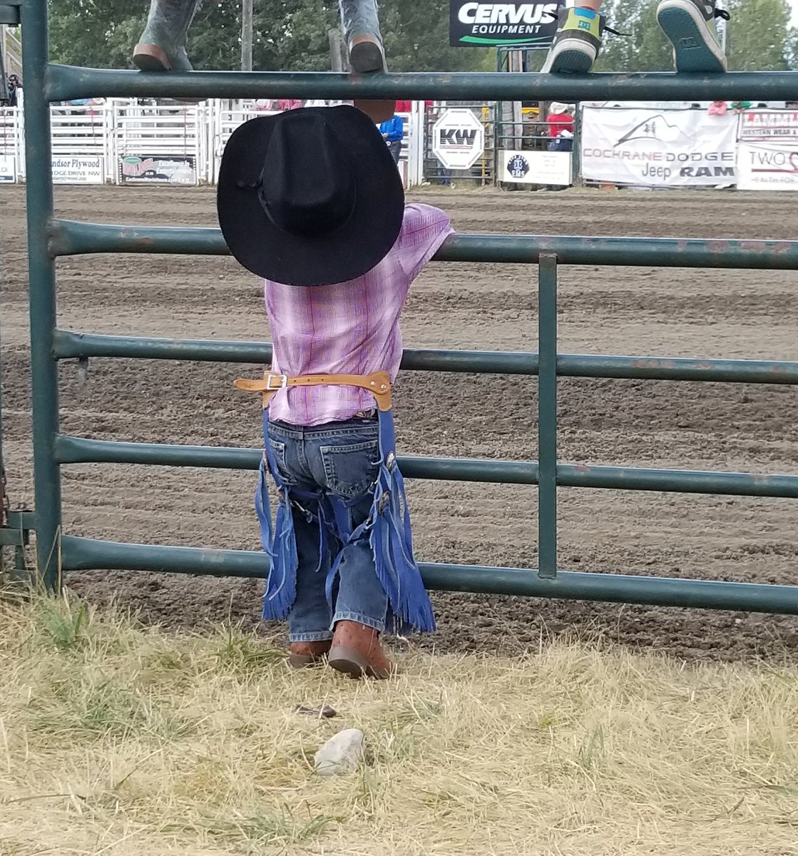 AinsleyWoo's tweet photo. The littlest cowboy at the @CochraneRodeo today 🤠 https://t.co/9uox41KCqH