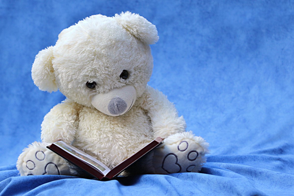 KeyLargoLibrary's tweet image. Story time tomorrow 10:30 a.m. ow.ly/Y8Pg30eLxXd