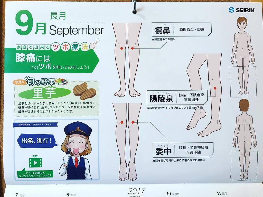 Twitter पर Kaeru Geko 9月のツボの様子です 里芋イイナ ツボ 里芋 とくび 陽稜泉 委中 膝の痛み 膝痛 Instagram T Co Hirlg70wvx