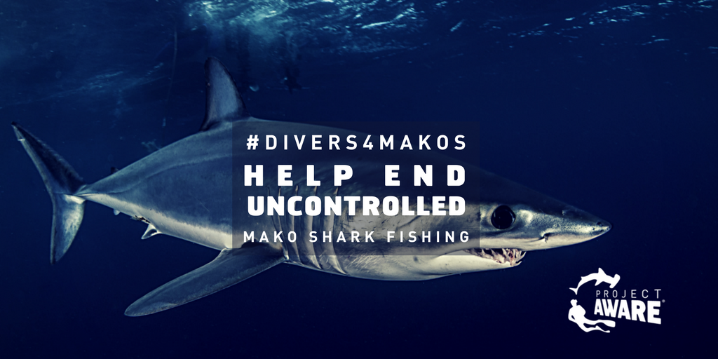 PADI's tweet photo. The research is in - Makos are in trouble! Sign @projectaware's #Divers4Makos petition today. https://t.co/24f4oG7UsP https://t.co/cE2c2KBDM9