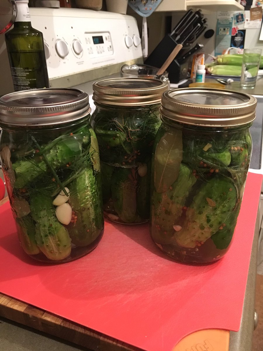 Tinaroom11's tweet photo. Another 3 beautiful jars of organic homegrown, homemade goodness! Yummy! https://t.co/JnIs8dI7Tc