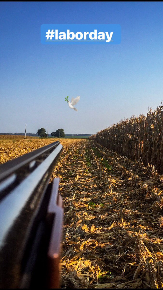 murphychatt's tweet image. 