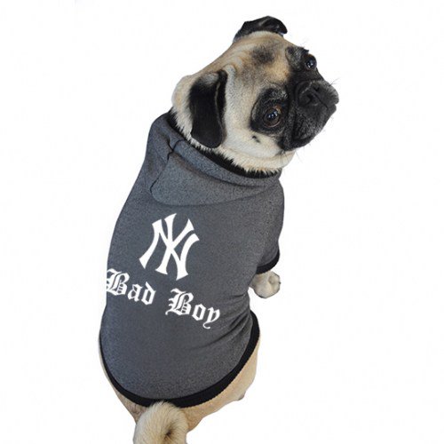 jenterprisesm's tweet photo. NY Bad Boy Dog Hoodie https://t.co/9y7UeGyUqL https://t.co/v2mFfF0vOa