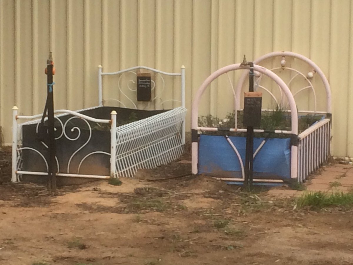 Dawe4Peter's tweet photo. #compostballs #gardenbeds recycled truck tyre guards #sustainablegardening at #HowlongPS Wonderful ideas and learning opportunities for Ss https://t.co/UY33UJVlWH