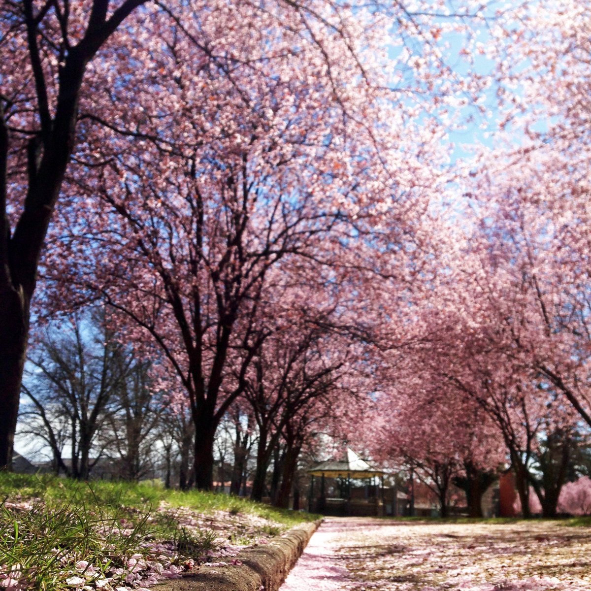 Evocities tweet media