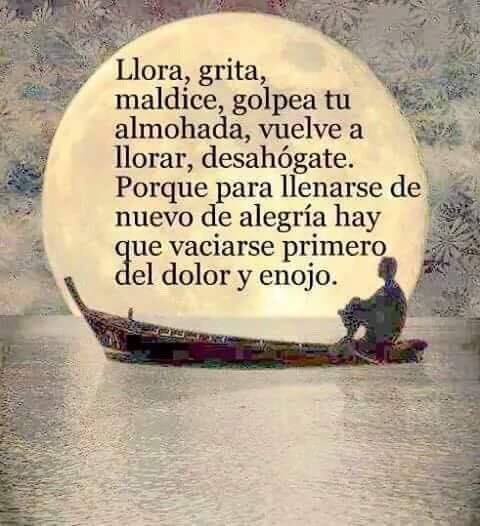 j_medina37's tweet photo. Si es necesario.deja todo en sus manos.y mañana sera otro dia.a soñar,buenisimas noches,que descansen. https://t.co/FdEw4zB4ca