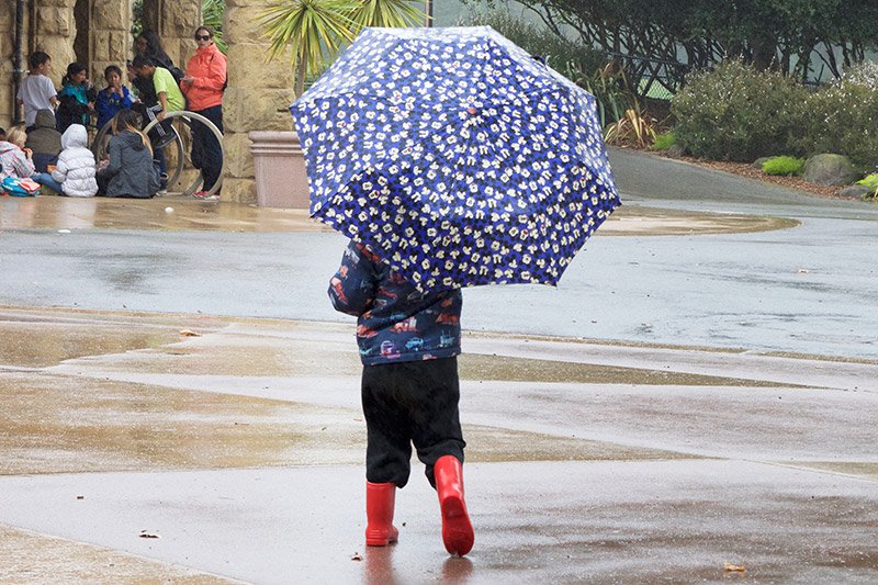 LittleFishBlog's tweet photo. Join the Little Fish Family - Get your 50 Rainy Day Activities Free Printable!
https://t.co/WwnRZJiyQF
#kidsprintable #pbloggers https://t.co/idhxN7KHGA