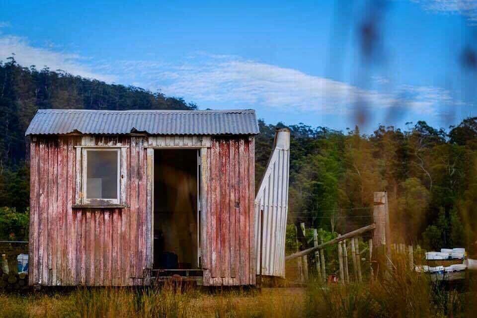 We hope that one day our little pickers hut will be our cellar door. #wine #editas