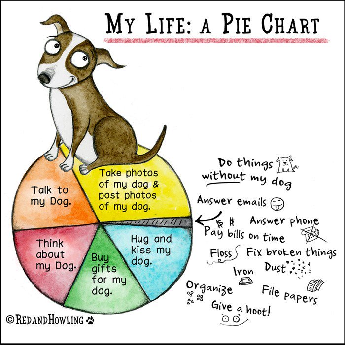 My Life Chart