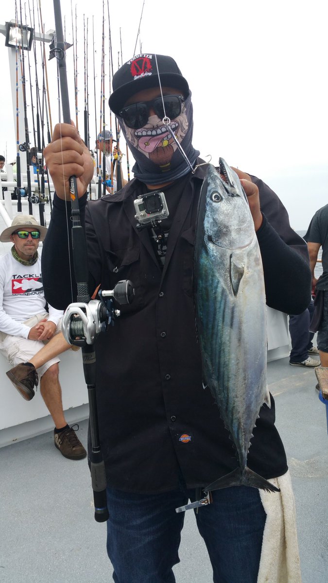 JigJigPow's tweet photo. Love how them Bonies give you a good run for your money. 

#SanDiegoFishing #PacficBonito #TigerTuna #DolphinSportFishing https://t.co/8pJo44n2Af