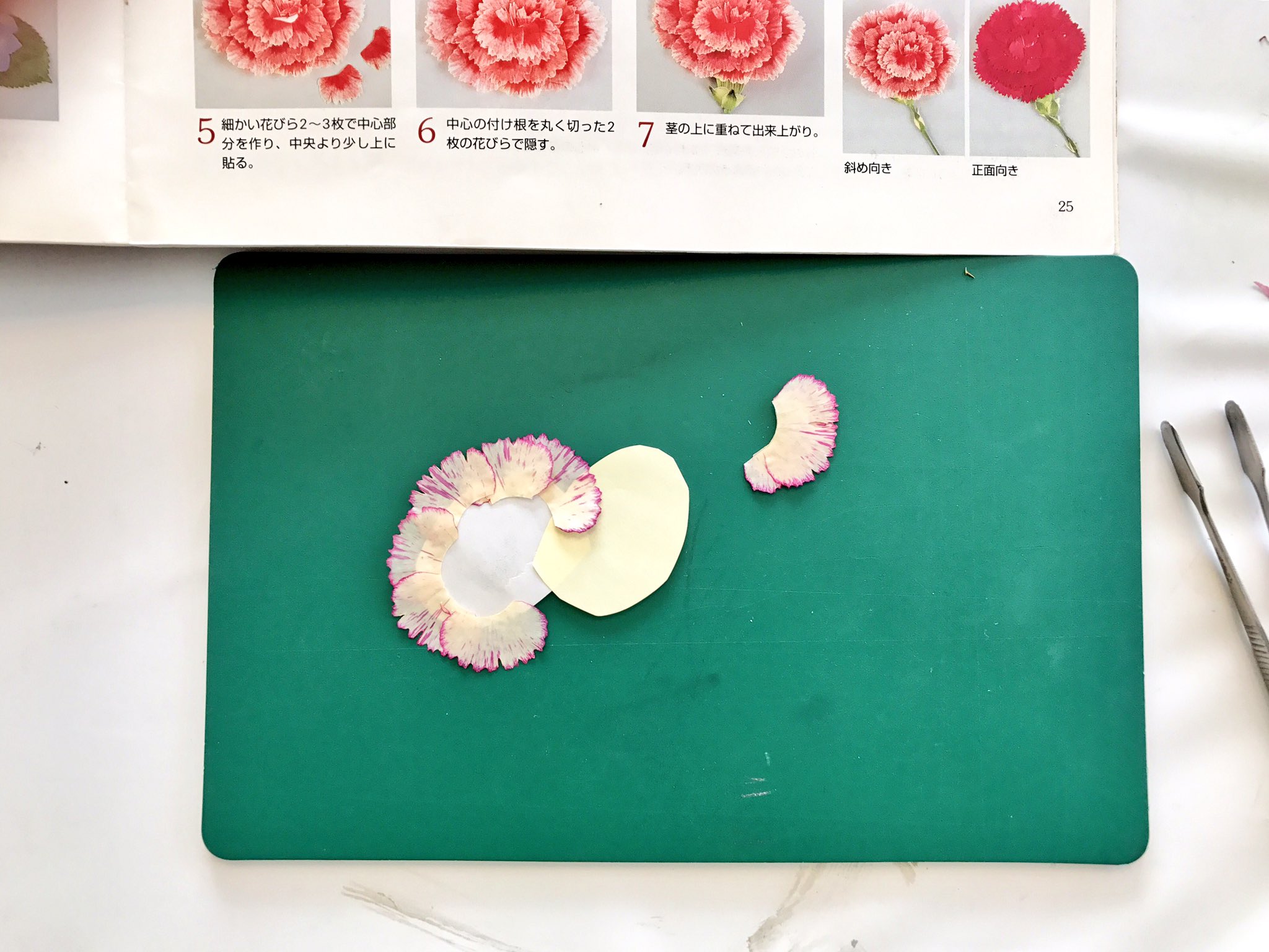 Twitter 上的 押し花サロン スイートアリッサム カーネーションなど花びらがたくさんあるお花はそのまま押しても綺麗な押し花に仕上がりません 一枚一枚バラバラに押した花びらを組み立て カーネーションの形にしていきます バラも同様です 素敵なお花が完成