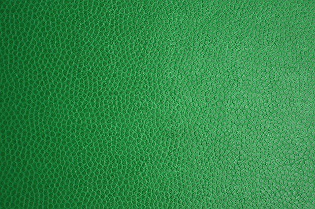 elegantifyling's tweet image. Photo By AKuptsova | Pixabay 
 #greenskin #leathertexture #leather #beautyblogger #beautyblog #beautyful #beautycare #beautyaddict