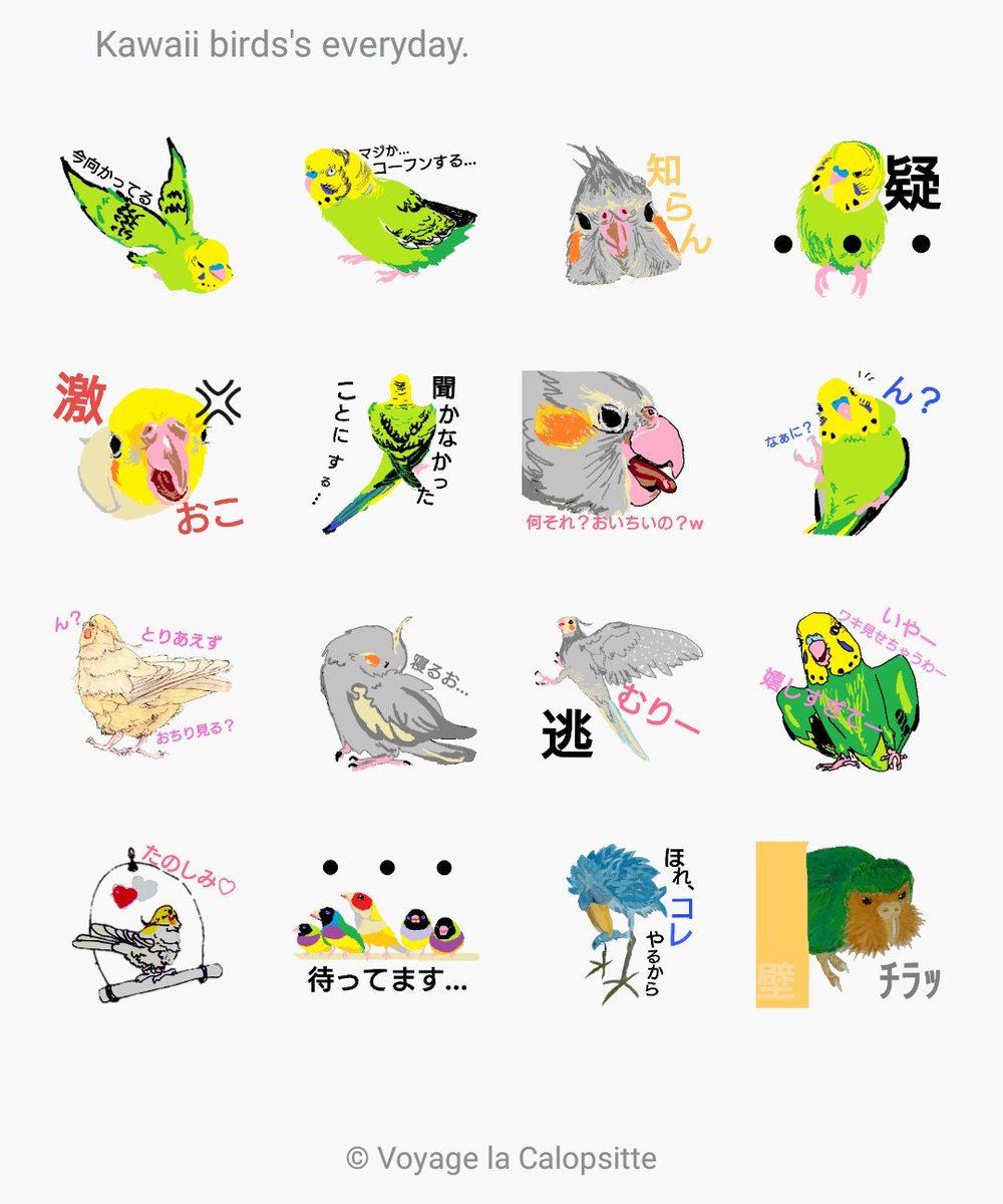 Voyage La Calopsitte ぼやたん Lineスタンプ好評発売中 Line Lineスタンプ 鳥 トリ ハシビロコウ オカメインコ セキセイインコ カカポ インコ 詳しくはコチラ T Co 7vnzdkq7yx